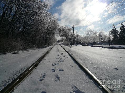 frozen tracks overnight